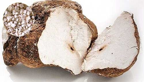 Bạch linh Poria cocos