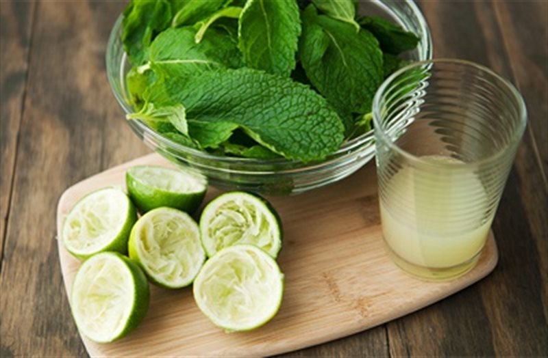 Sử dụng Bạc hà chanh trong điều trị chứng trầm cảm